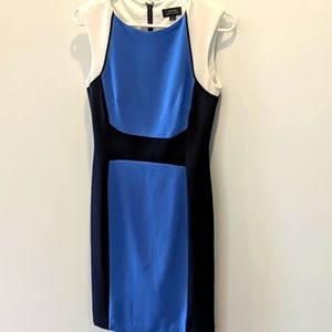 Tahari Colorblock Dress